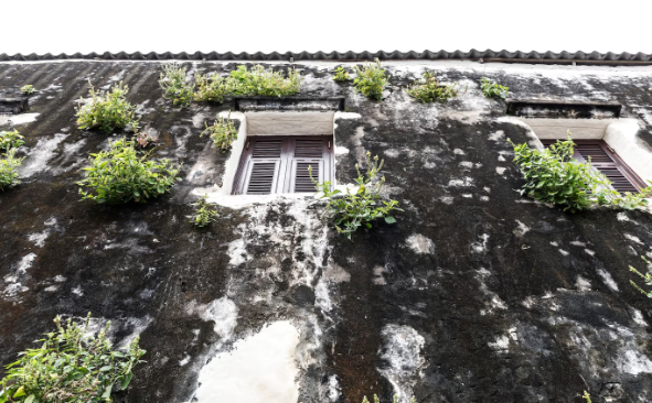 roof valley leaking