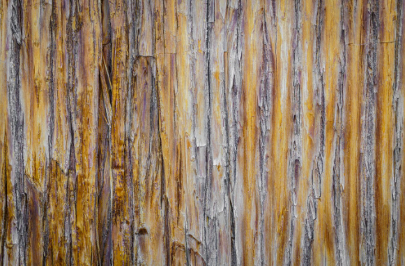 charred wood siding